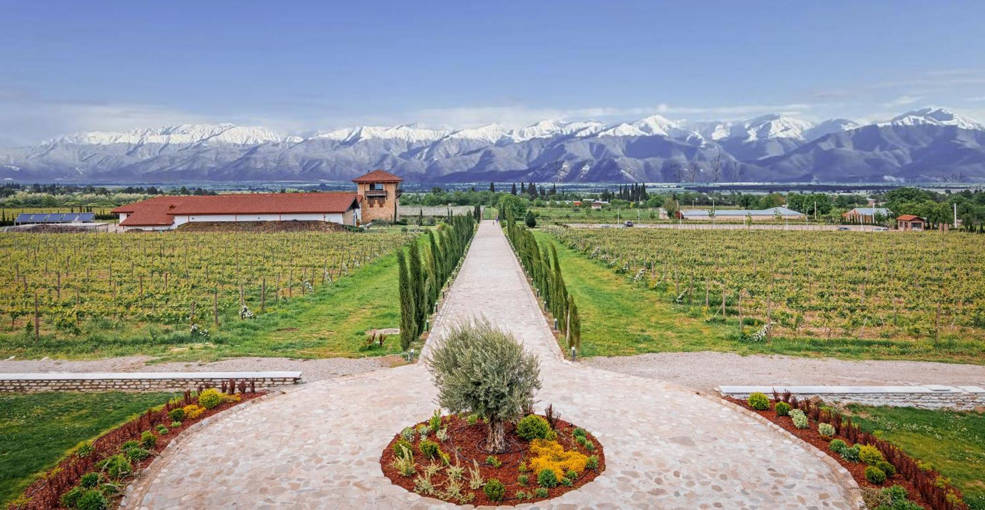 Château Mosmieri Hotel&Winery Telavi Exterior foto