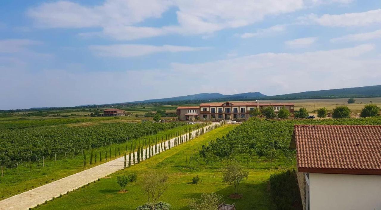 Château Mosmieri Hotel&Winery Telavi Exterior foto